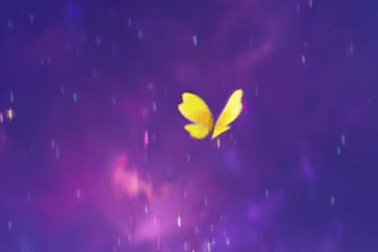 Galaxy Butterfly